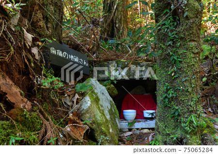 From Kumano Kodo From Kumano Kodo 75065284