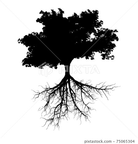 Black tree with roots Black tree with roots 75065304