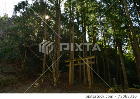 From Kumano Kodo 75065310