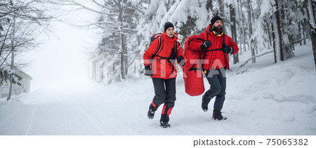 Paramedics from mountain rescue service running outdoors in winter in forest. 75065382