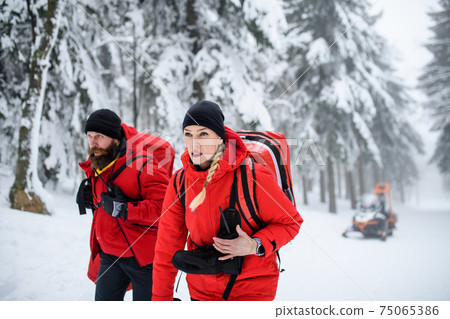 Paramedics from mountain rescue service walking outdoors in winter in forest. 75065386