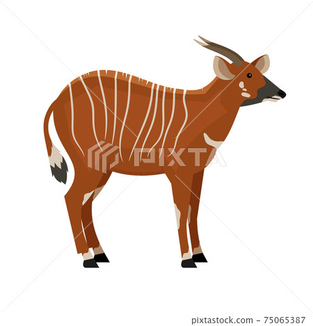 Hoofed animal with horns 75065387