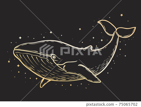 Whale on starry background. Vector illustration in vintage graphic style 75065702