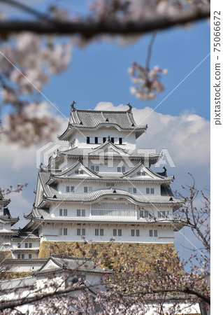 Himeji City, Hyogo Prefecture, Japan Himeji Castle, a World Heritage Site and a national treasure, spring cherry blossoms and a magnificent castle tower Himeji City, Hyogo Prefecture, Japan Himeji Castle, a World Heritage Site and a national treasure, spring cherry blossoms and a magnificent castle tower 75066672