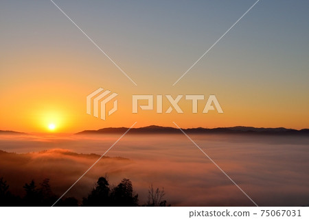 雲彩海在Kameoka盆地的 75067031