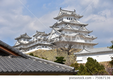 Himeji City, Hyogo Prefecture, Japan A magnificent castle tower of Himeji Castle, a World Heritage Site, a traditional Japanese teahouse and spring cherry blossoms Himeji City, Hyogo Prefecture, Japan A magnificent castle tower of Himeji Castle, a World Heritage Site, a traditional Japanese teahouse and spring cherry blossoms 75067136