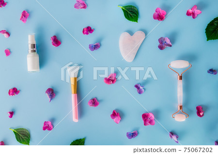 Top view composition with pink jade roller massager, gouache scraper, applying brush and skin serum on blue background with pink hydrangea flower petals. Anti-age, lifting, toning skin treatment. 75067202