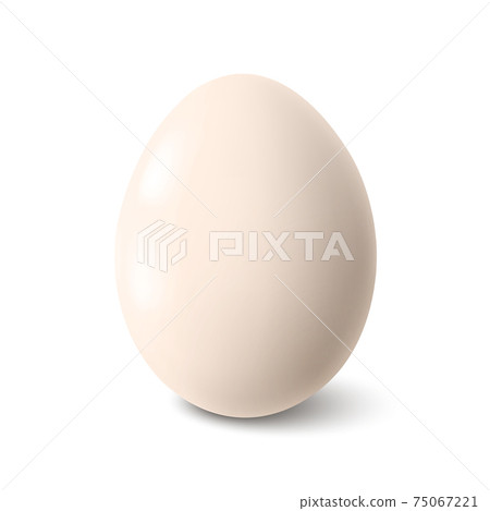 Big realistic white chicken egg with shadow on white background - Vector Big realistic white chicken egg with shadow on white background - Vector 75067221