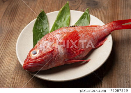 北海道的豪華近畿 75067259