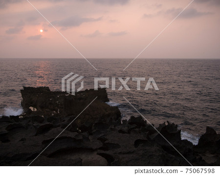 Tokunoshima Dog Gate 75067598