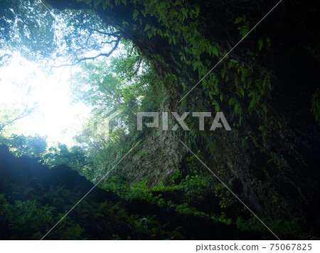 德之島洞穴 75067825