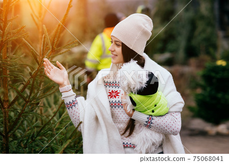 Woman with a white dog in her arms near a green Christmas trees 75068041