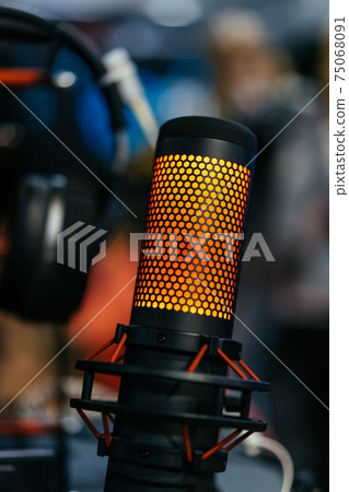 Professional studio condenser microphone attached to shock mount Professional studio condenser microphone attached to shock mount 75068091