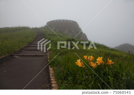 淺草谷上海岸（三陸福國國家公園） 75068543