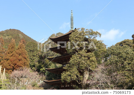 Plums of Yamaguchi Rurikoji Temple Plums of Yamaguchi Rurikoji Temple 75069173
