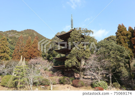 Plums of Yamaguchi Rurikoji Temple Plums of Yamaguchi Rurikoji Temple 75069174