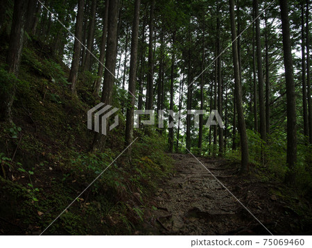 Wakayama Prefecture Kumano Kodo Nakabeji 75069460
