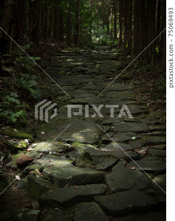 Mie Prefecture Kumano Kodo Magose Pass Cobblestone 75069493