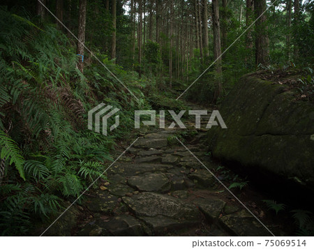 Mie Prefecture Kumano Kodo Magose Pass Cobblestone 75069514