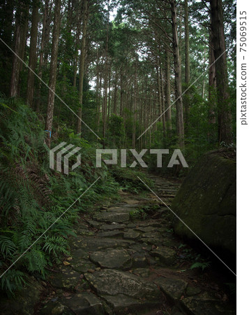 Mie Prefecture Kumano Kodo Magose Pass Cobblestone 75069515