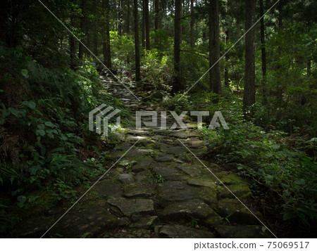 Mie Prefecture Kumano Kodo Magose Pass Cobblestone 75069517