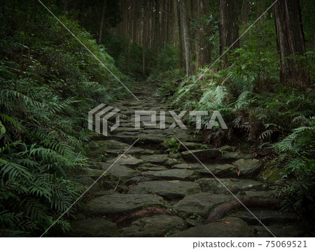 Mie Prefecture Kumano Kodo Magose Pass Cobblestone 75069521