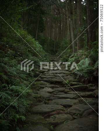 Mie Prefecture Kumano Kodo Magose Pass Cobblestone 75069522