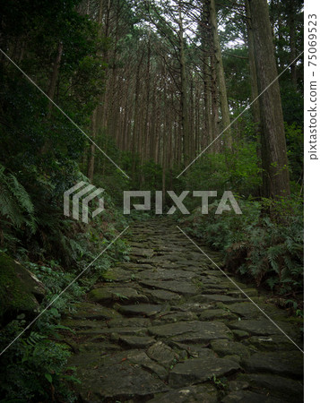 Mie Prefecture Kumano Kodo Magose Pass Cobblestone 75069523