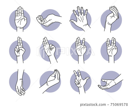Hand fingers and palm gestures.  75069578