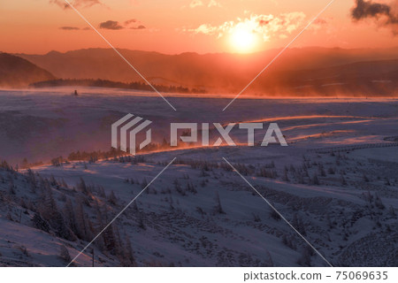 Utsukushigahara Plateau at sunrise (Nagano Prefecture) 75069635