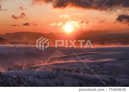 Utsukushigahara Plateau at sunrise (Nagano Prefecture) 75069636