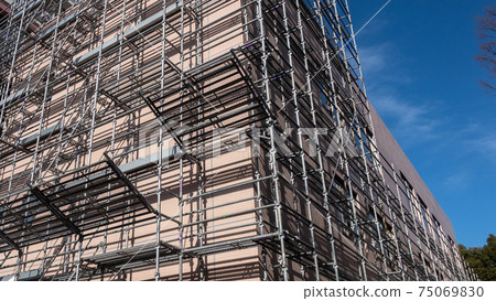 Scaffolding for repair work Curing morning glory 75069830