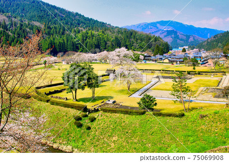 市上谷朝倉遺址-春天 市上谷朝倉遺址-春天 75069908