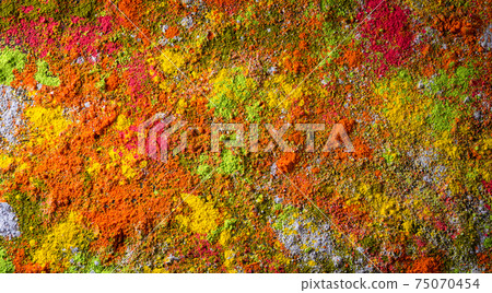 Holi festival celebration. Traditional Indian Holi colours powder decoration on black background for Holi festival. Holi festival celebration. Traditional Indian Holi colours powder decoration on black background for Holi festival. 75070454