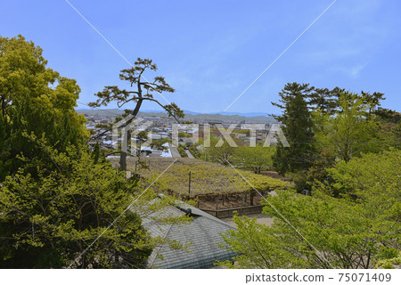 從松阪城遺址看的三重縣松阪市 從松阪城遺址看的三重縣松阪市 75071409