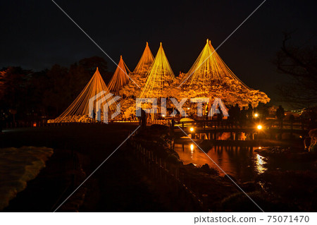 冬季風景照亮的兼六園 75071470