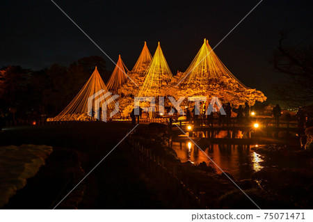 冬季風景照亮的兼六園 冬季風景照亮的兼六園 75071471