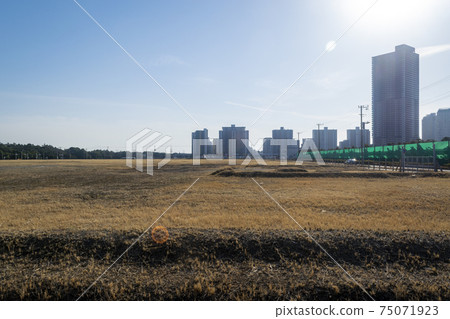 城市空地背光 75071923