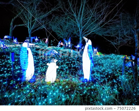 Cool illuminations of penguins parents and children Cool illuminations of penguins parents and children 75072226