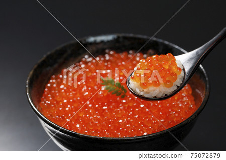 多少 多少 75072879