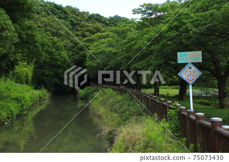 Minuma Substitute Water East Edge (Nanburyotsuji, Midori-ku, Saitama City: Landscape Conservation Area) Minuma Substitute Water East Edge (Nanburyotsuji, Midori-ku, Saitama City: Landscape Conservation Area) 75073430