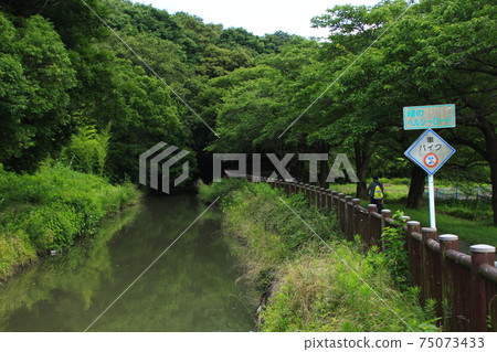 Minuma Substitute Water East Edge (Nanburyotsuji, Midori-ku, Saitama City: Landscape Conservation Area) Minuma Substitute Water East Edge (Nanburyotsuji, Midori-ku, Saitama City: Landscape Conservation Area) 75073433