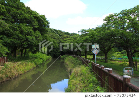 Minuma Substitute Water East Edge (Nanburyotsuji, Midori-ku, Saitama City: Landscape Conservation Area) 75073434