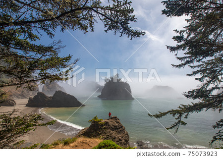 The Traveler Standing at Secret Beach, Oregon The Traveler Standing at Secret Beach, Oregon 75073923