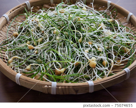 Korean Food Soothing, Spring Herb Korean Food Soothing, Spring Herb 75074655