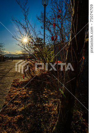 Evening view of the park welcoming the new spring, Takarazuka City North Park, January 9, Japan 75074709
