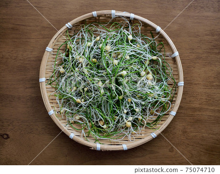 Korean Food Soothing, Spring Herb Korean Food Soothing, Spring Herb 75074710
