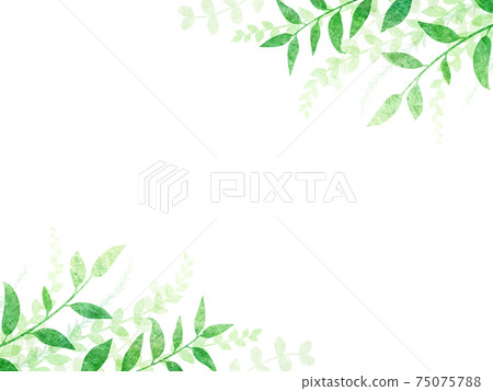葉背景 插圖素材 圖庫 葉背景 插圖素材 圖庫