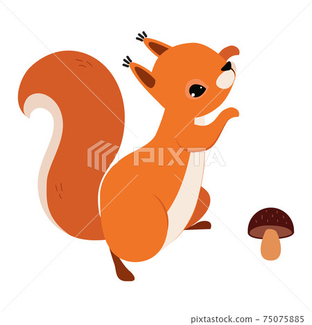 Red Fluffy Squirrel with Bushy Tail Jumping Near Mushroom Vector Illustration Red Fluffy Squirrel with Bushy Tail Jumping Near Mushroom Vector Illustration 75075885