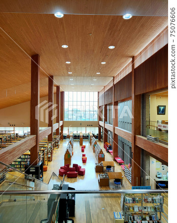 Landscape with books 75076606